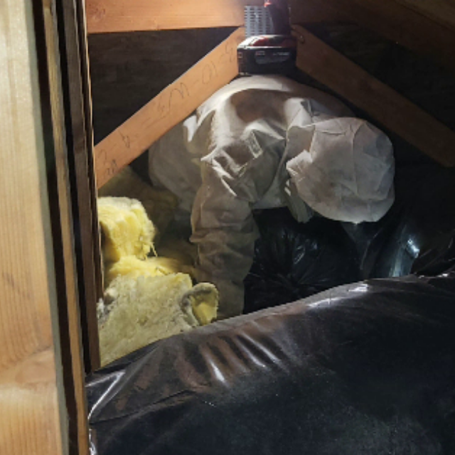Worker removing affected attic materials