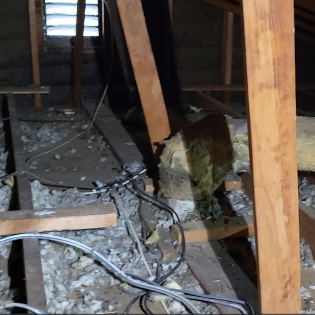 Attic before remediation