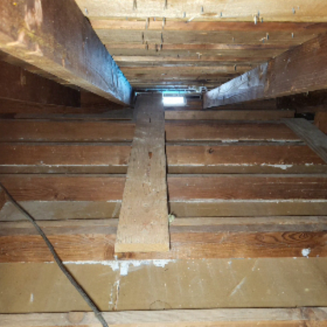 Clean attic after insulation removal