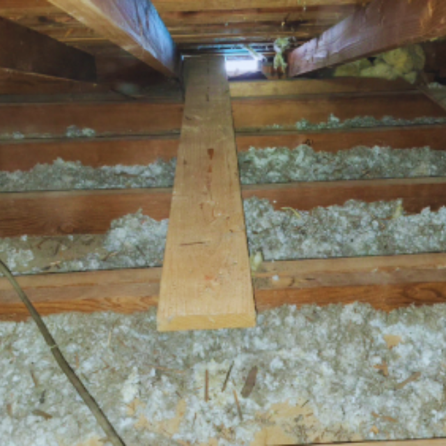 Dirty attic insulation before removal