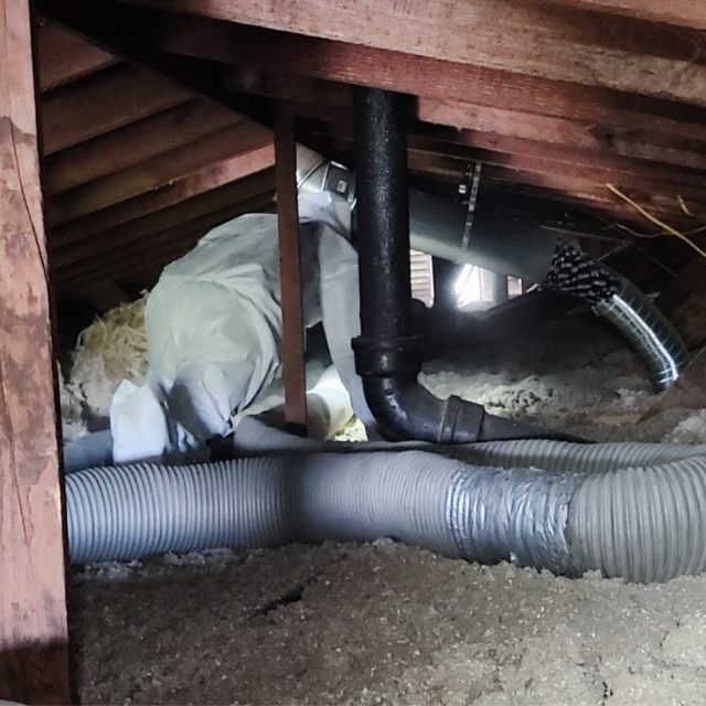 Technician inspecting an attic