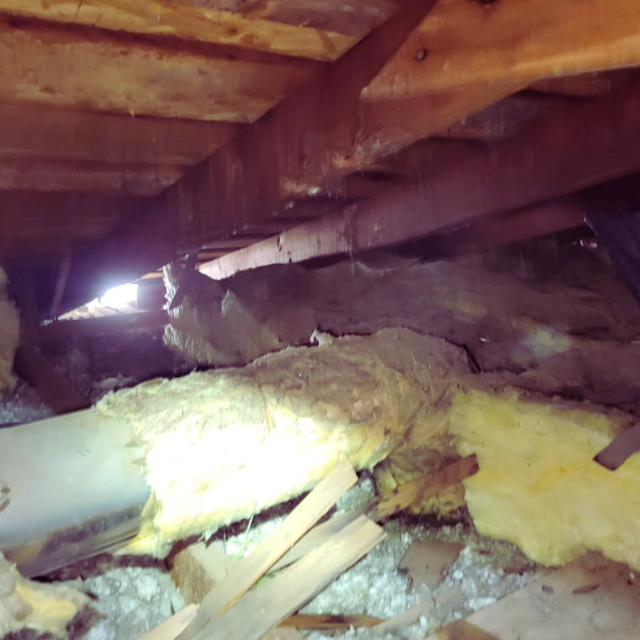 Dirty attic area with affected insulation