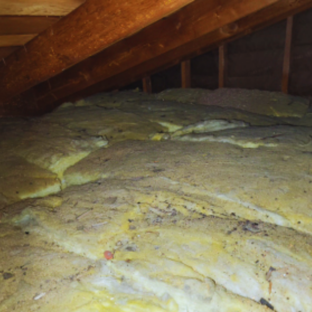 Dirty flat attic insulation that may need replacement