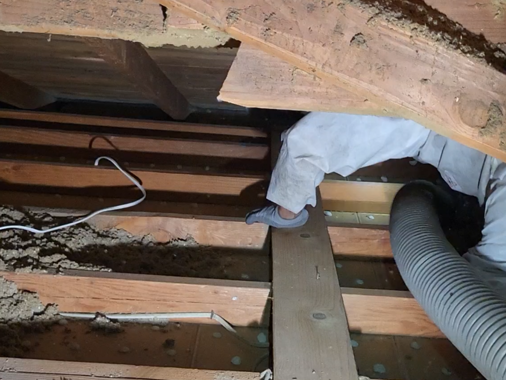 Removal of dirty attic insulation