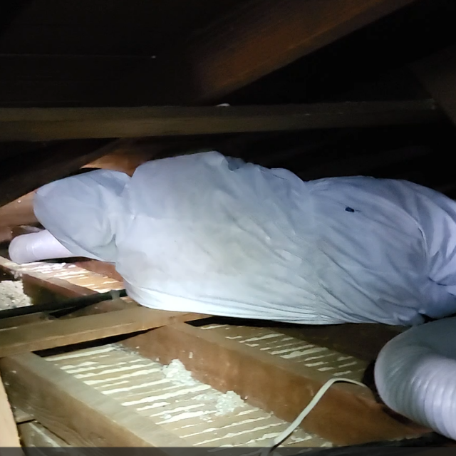 Dirty attic insulation before removal