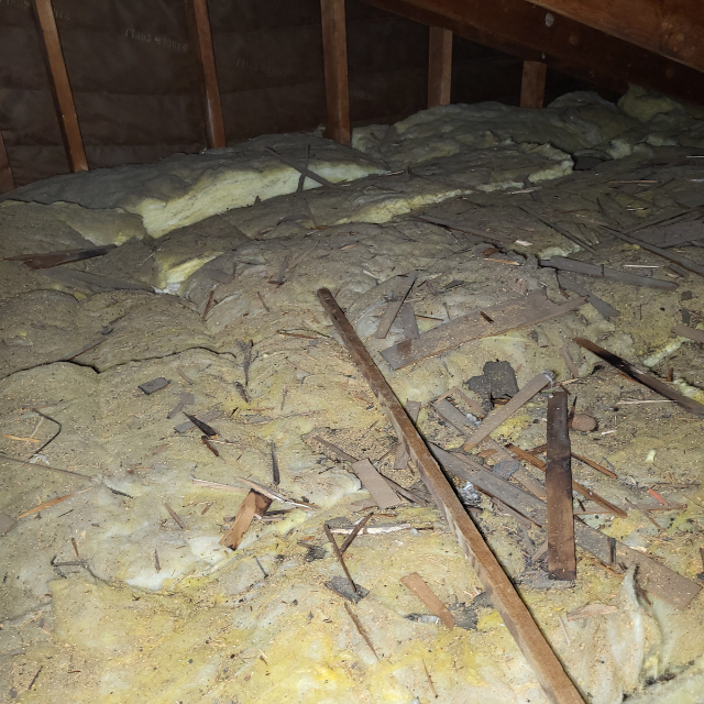 Old dirty attic insulation before removal