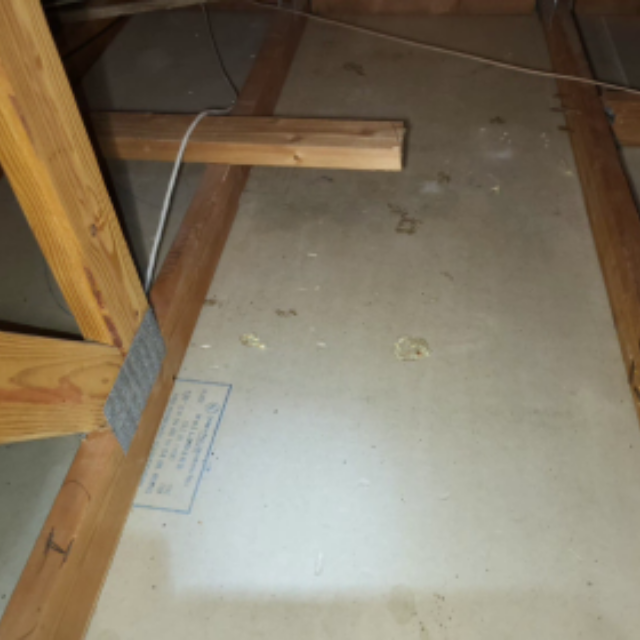 Attic after rodent droppings cleanup