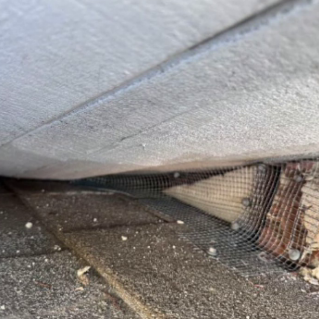 Same junction after hardware cloth is cut, seated, and screwed for permanent rodent exclusion