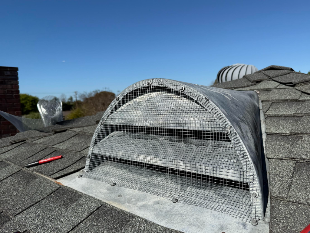 Rodent Proofing & Removal in Orange County