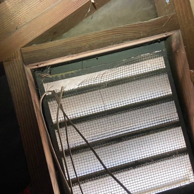 Attic louver vent with torn wire mesh and a gap rodents could use