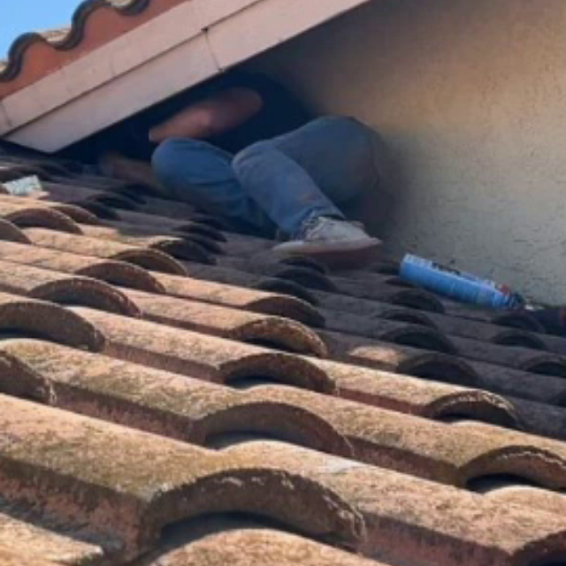Same roof junction after professional rodent exclusion and sealing work