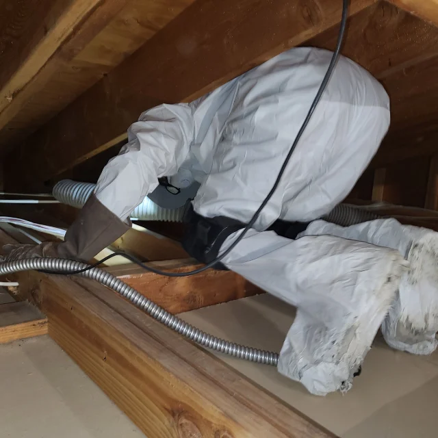 Before: Attic Cleaning and Installation — Debris Cleared and New Insulation Being Installed