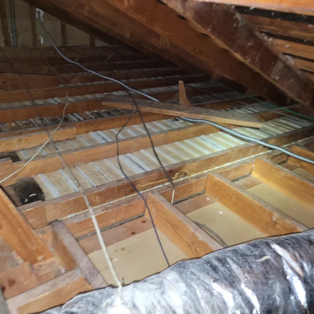 After: Attic Decontamination — Rodent Droppings Removed and Insulation Replaced