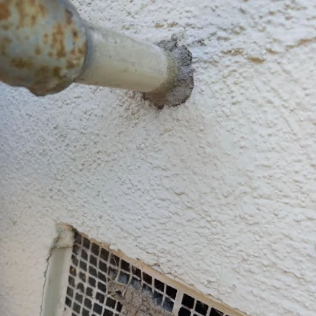 After: Rodent Proofing in Costa Mesa