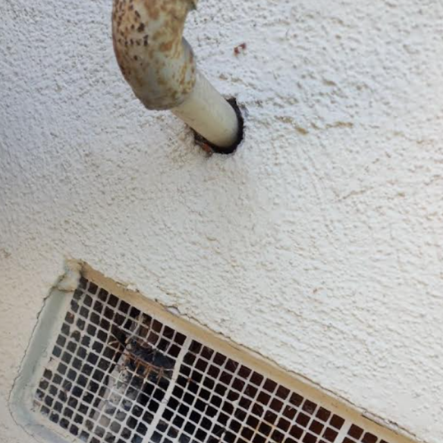 Before: Rodent Proofing in Costa Mesa
