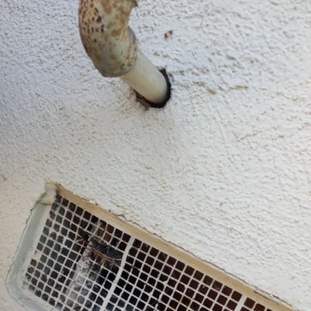 Before: Rodent Proofing in Costa Mesa