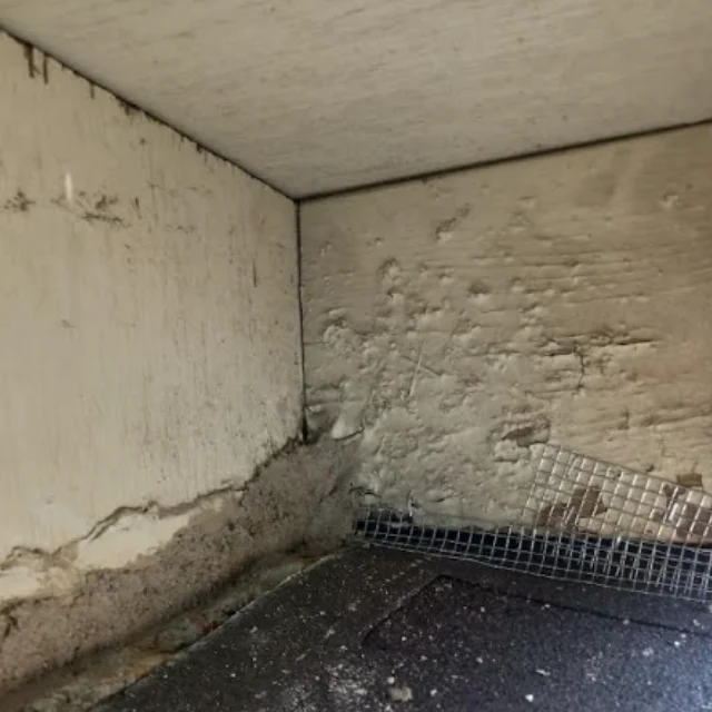 After: Rodent Proofing in Costa Mesa