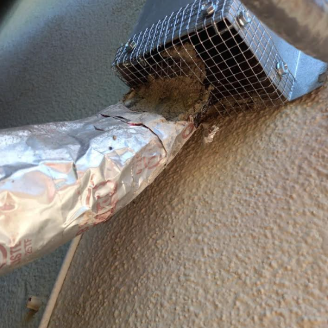 After: Rodent Proofing in Costa Mesa