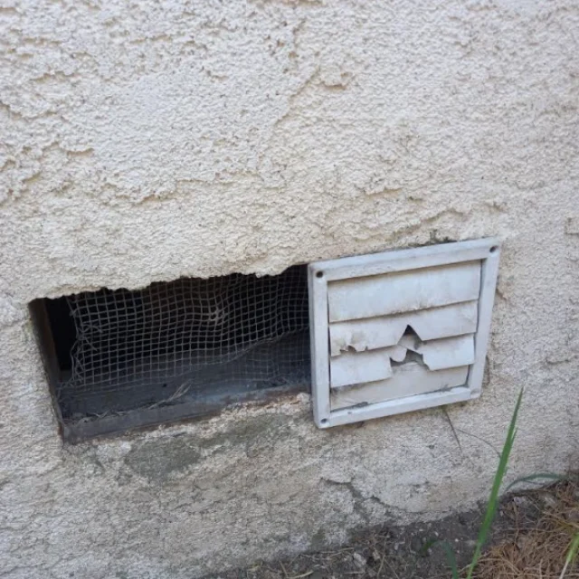 Before: Rodent Proofing in Costa Mesa