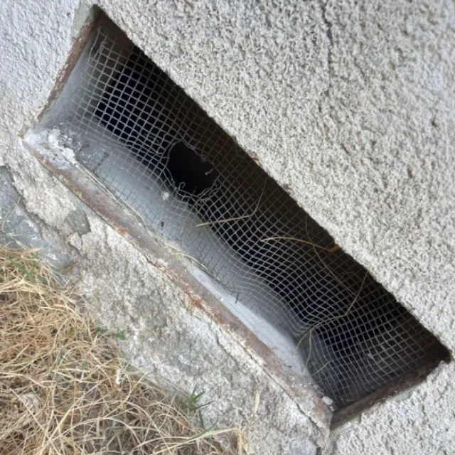 Before: Rodent Proofing in Costa Mesa
