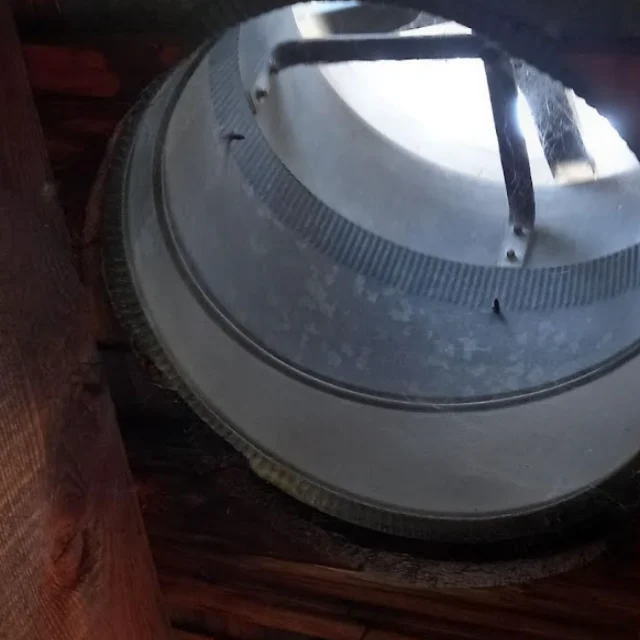 Before: Rodent Proofing in Costa Mesa