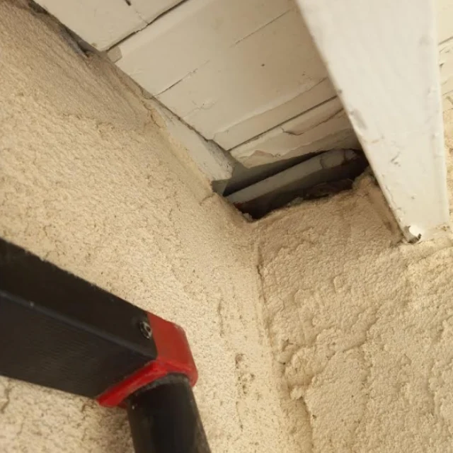 Before: Rodent Proofing in Costa Mesa