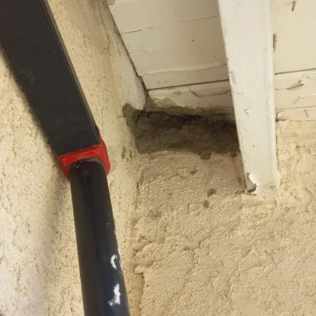 After: Rodent Proofing in Costa Mesa