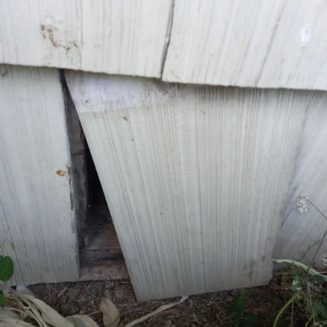 Before: Rodent Proofing in Costa Mesa